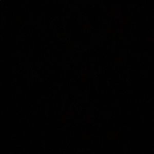 Meet your Posher, Chichi